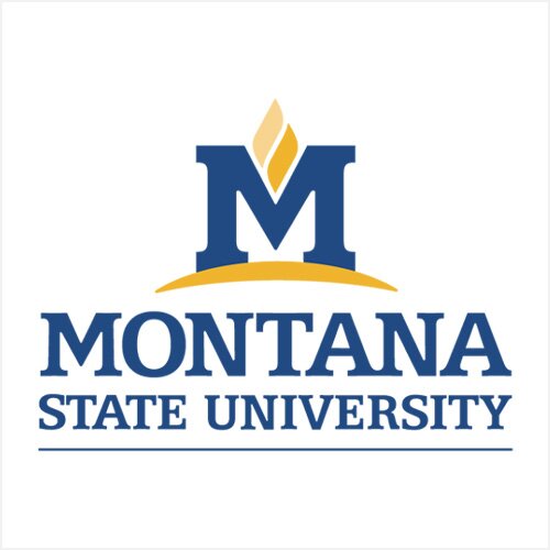 BZN Sponsor - Montana State University